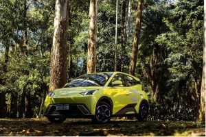 BYD Dolphin Min plante uma árvore