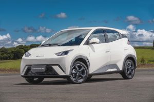 BYD Dolphin Mini - Carro do Ano Mundial 2025