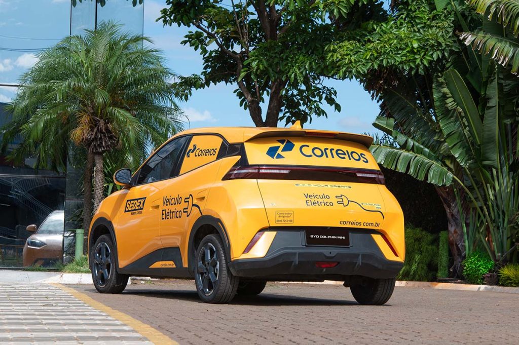 BYD MIni Cargo