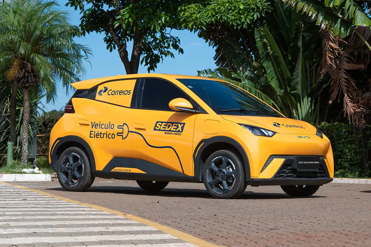 BYD Dolphin Mini Corporativo