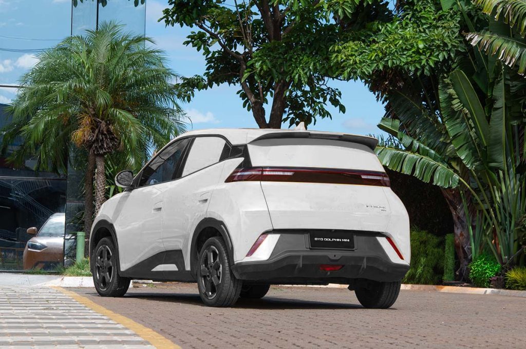 BYD Dolphin Mini Cargo